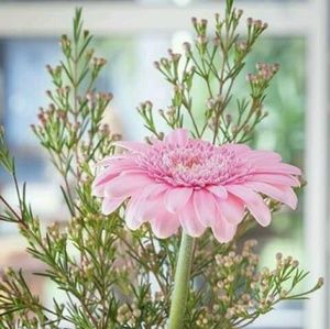 Meet your Posher, Blanca